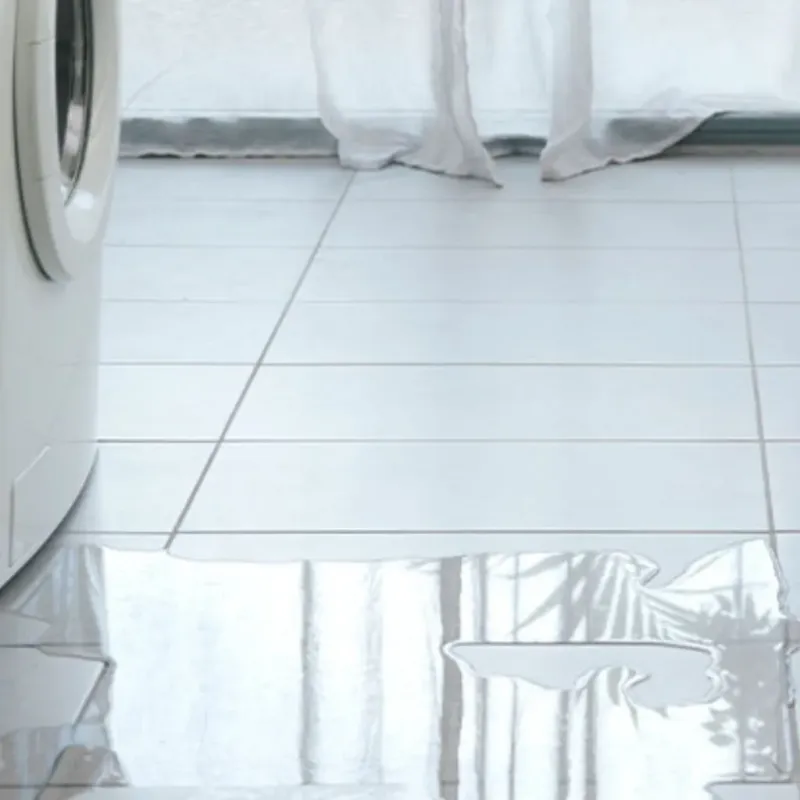 Appliance Leak Cleanup in Santa Paula, CA