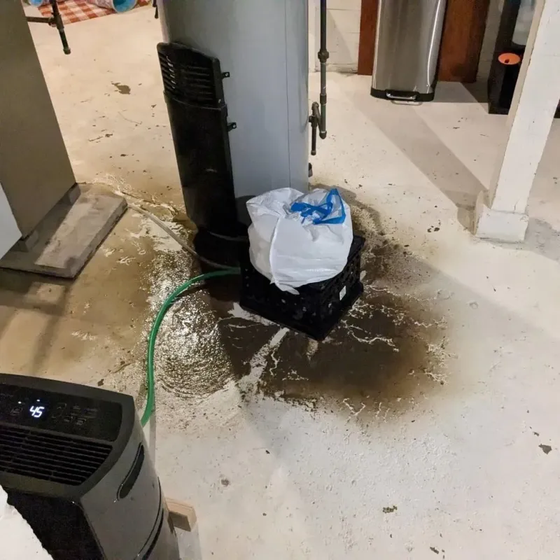 Sewage Backup Cleanup Service in Santa Paula, CA
